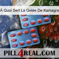 À Quoi Sert La Gelée De Kamagra 05